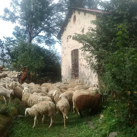 Suite Bamby - Locazione Turistica * Limone Piemonte